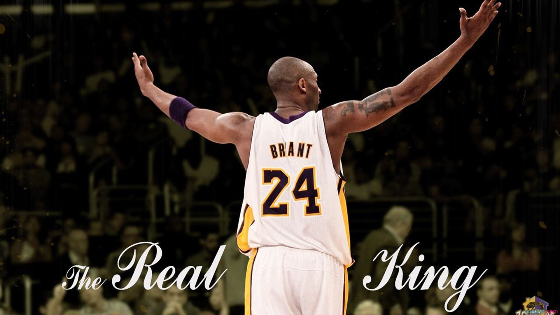 门迪,一夫当关,沙特翻盘背后的攻防哲学